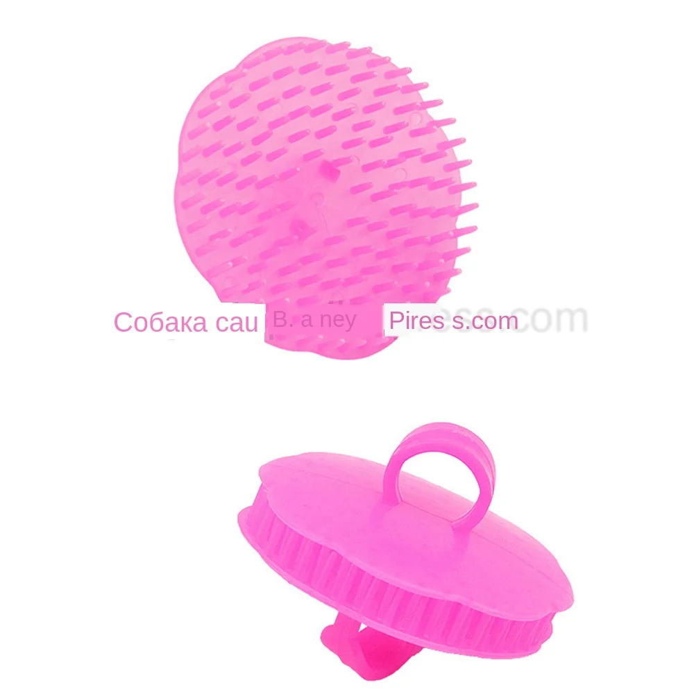 8601288664_1756254533 