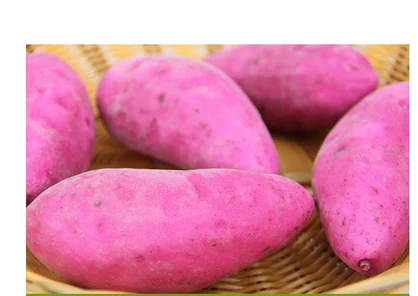 H2)L]U2D@BOZXW0NY8@OQDO