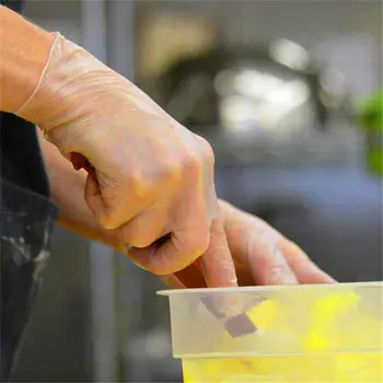 

100PC Disposable Medical Glove Surgical Nitrile POWDER&LATEX FREE Non Sterile