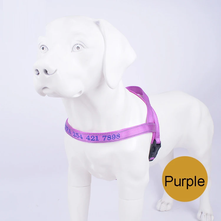 9399374485_2096751904