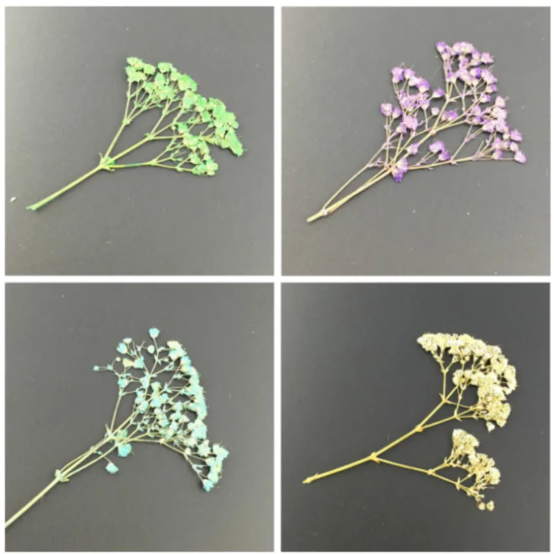 Высушенная искусственная планшетория искусственный букет с большой головой и