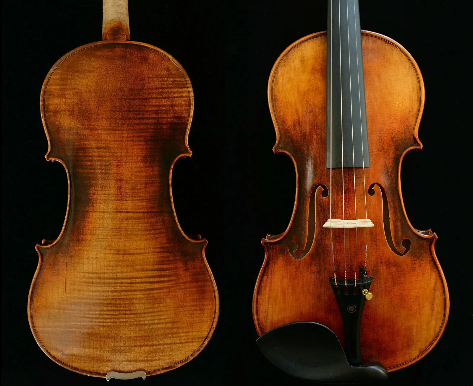 

Fine Sounding Violin Guarneri del Gesu 1743 Cannone Violin Oil Varnish 1-p Back