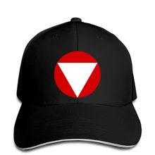 Мужская бейсбольная кепка, австрийские ВВС, круглые, военные, эмблема самолета, австрийские ВВС, бейсболка кепка с логотипом, женская кепка