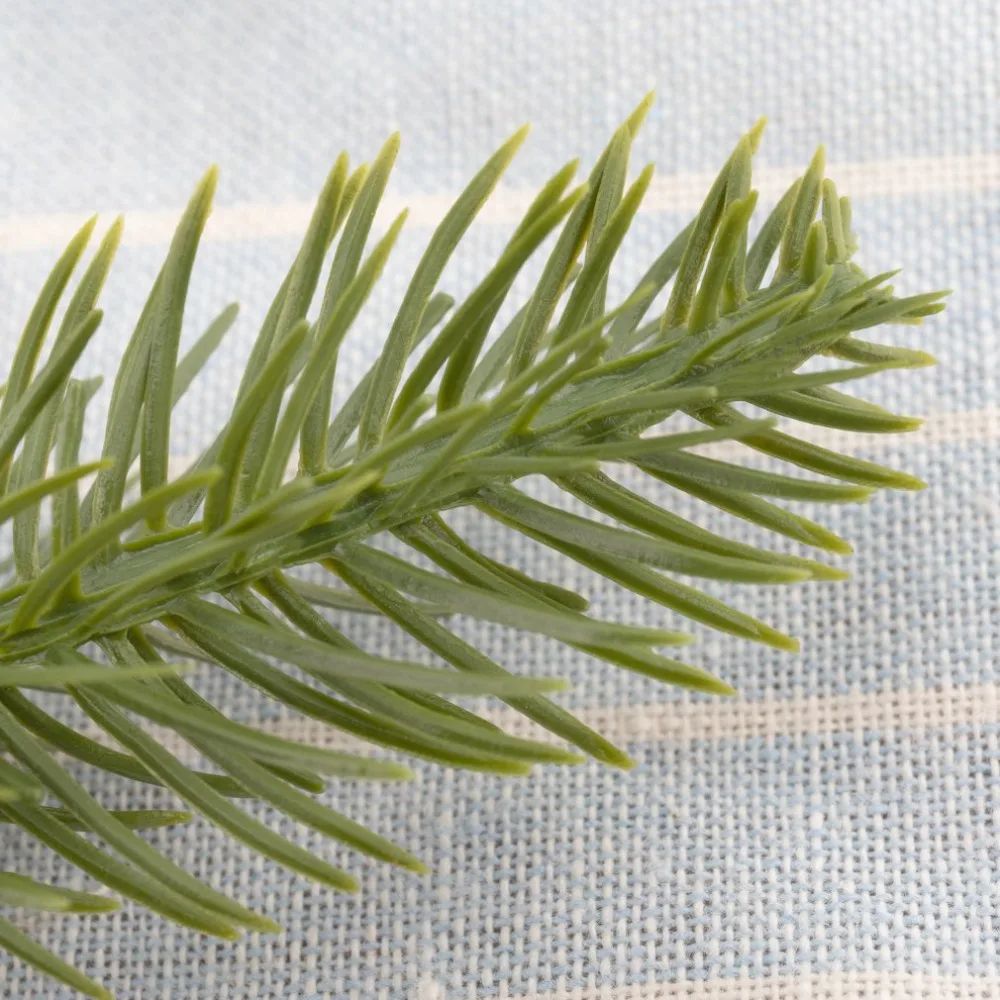 JD2128200-C-20102805-1