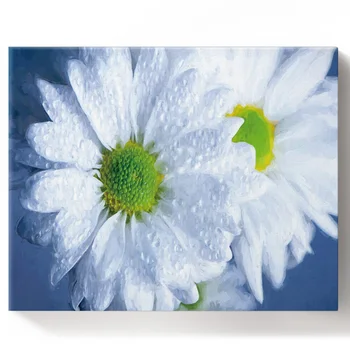 

White Flower Daisy Paint by Numbers on Canvas 30X40CM DIY Paint by Numbers Living Room Decoration Gift