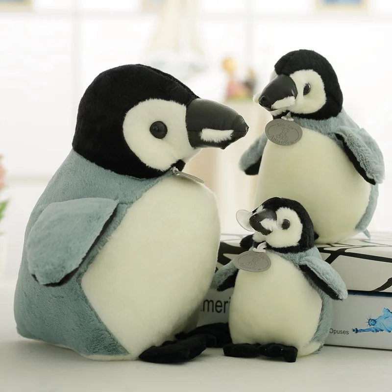 3913426319_305261616