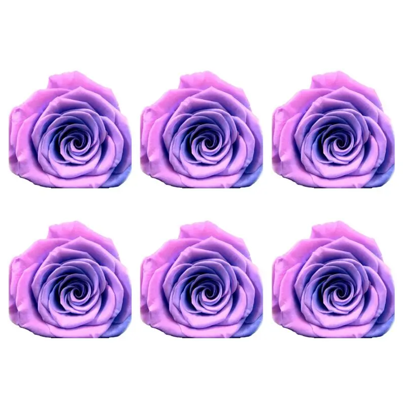 Rose Forever Rose Anniversary Day Gift Preserved Rose Birthday Gift Fresh Flower 634E