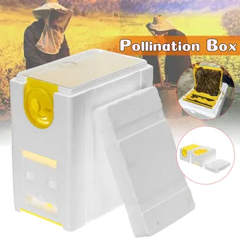 

Dual Layer Beekeeping Foam Bee Hive Plastic Board Beekeeping Pollination Tool Bee Box Rearing Beehive Honeycomb