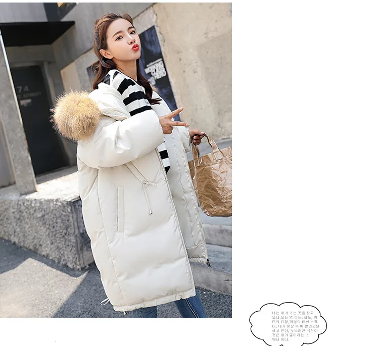 9042448684_1006637240