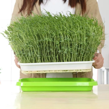 

Seed Sprouter Tray with Lid BPA Free Bean Sprout Grower Sprouting Seeds Tray, Dirt Free Way and Big Capacity