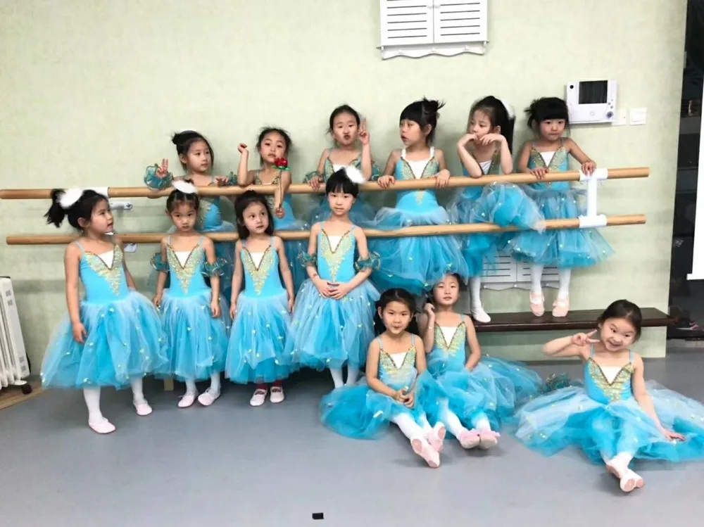 Bailarina/длинное платье-пачка для девочек балетное трико, способный преодолевать Броды для взрослых Одежда для бальных танцев балетное платье-пачка детская Лебединое озеро платье для танцев для детей