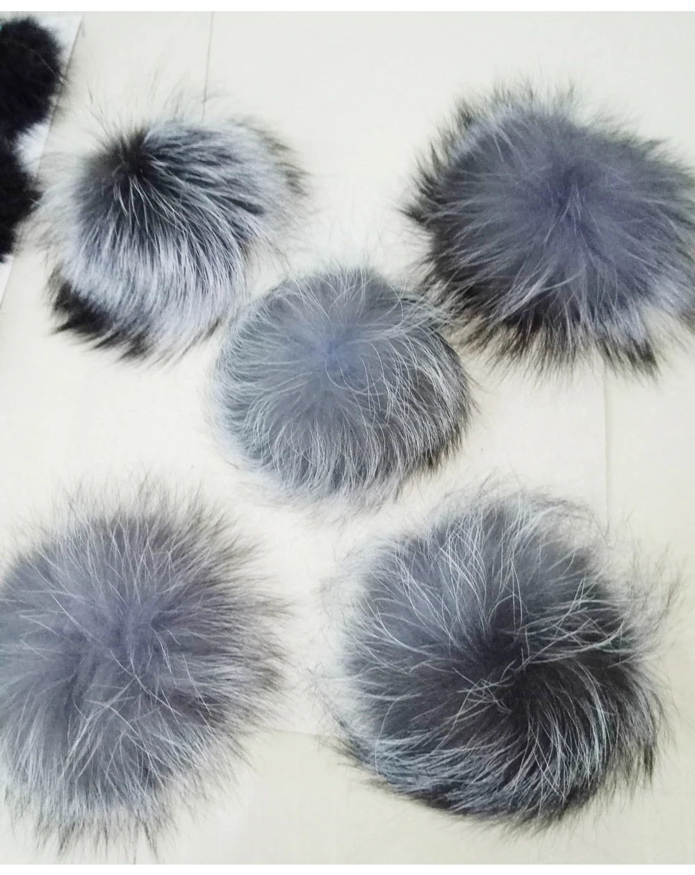 4309009745_1323226258