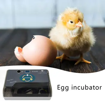 

Hot cheap Price 12 Digital Egg Incubator 12 Eggs Automatic Hatcher With Eggtester Automatic Egg Turning Farm Hatchery Machine