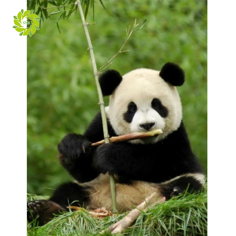 Полностью квадратная и круглая Алмазная Картина Пейзаж животное 5D алмазная