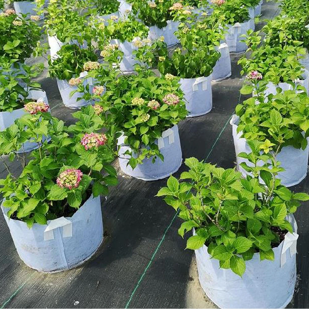 Yowmina Sac De Plantation Non Tissé 486L 8 Compartiments - Jardinière Balcon Grand Volume Pour Potager Extérieur