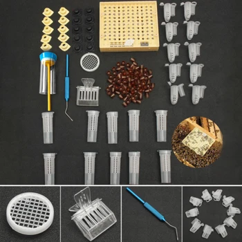 

Lightweight Plastic Supplies Catcher Queen Rearing Beekeeping Tool Non-toxic Cage Bee Cultivating Box Garden Cell Cups Equipment
