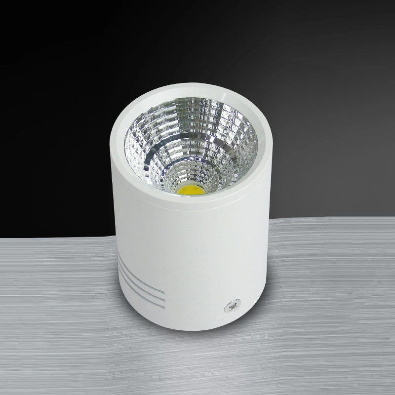 

Aluminum Alloy Cylinder Down Light Surface Mount Indoor LED Ceiling Lamp 12W