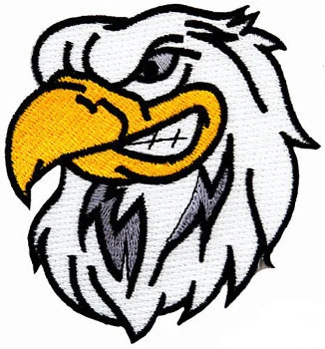 

Hot! EMBROIDERED PATCH AMERICAN BALD EAGLE new IRON-ON PATRIOTIC BIKER EMBLEM (≈ 6 * 6.5 cm)