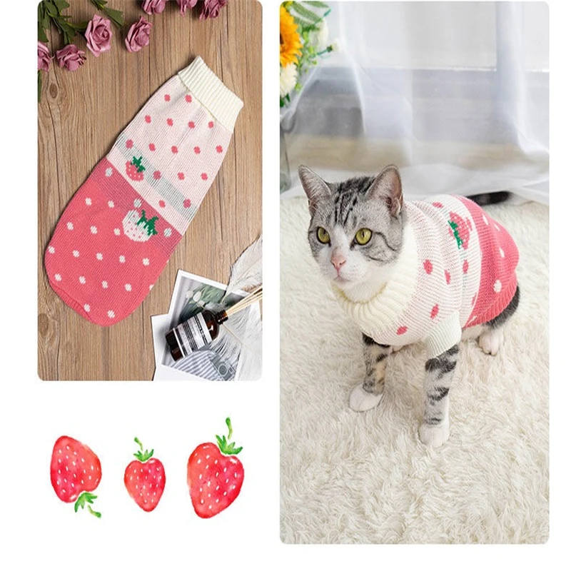 cat dog sweater04