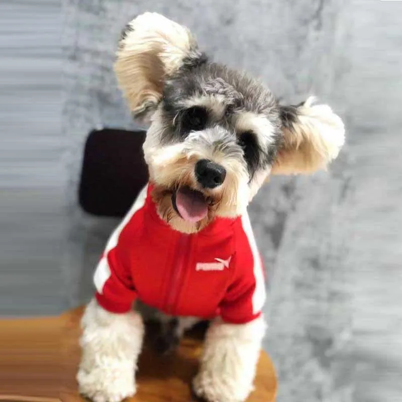 

Dog clothes autumn and winter clothing tide brand net red sportswear Teddy schnauzer Bomei Keji law fighting pet clothing