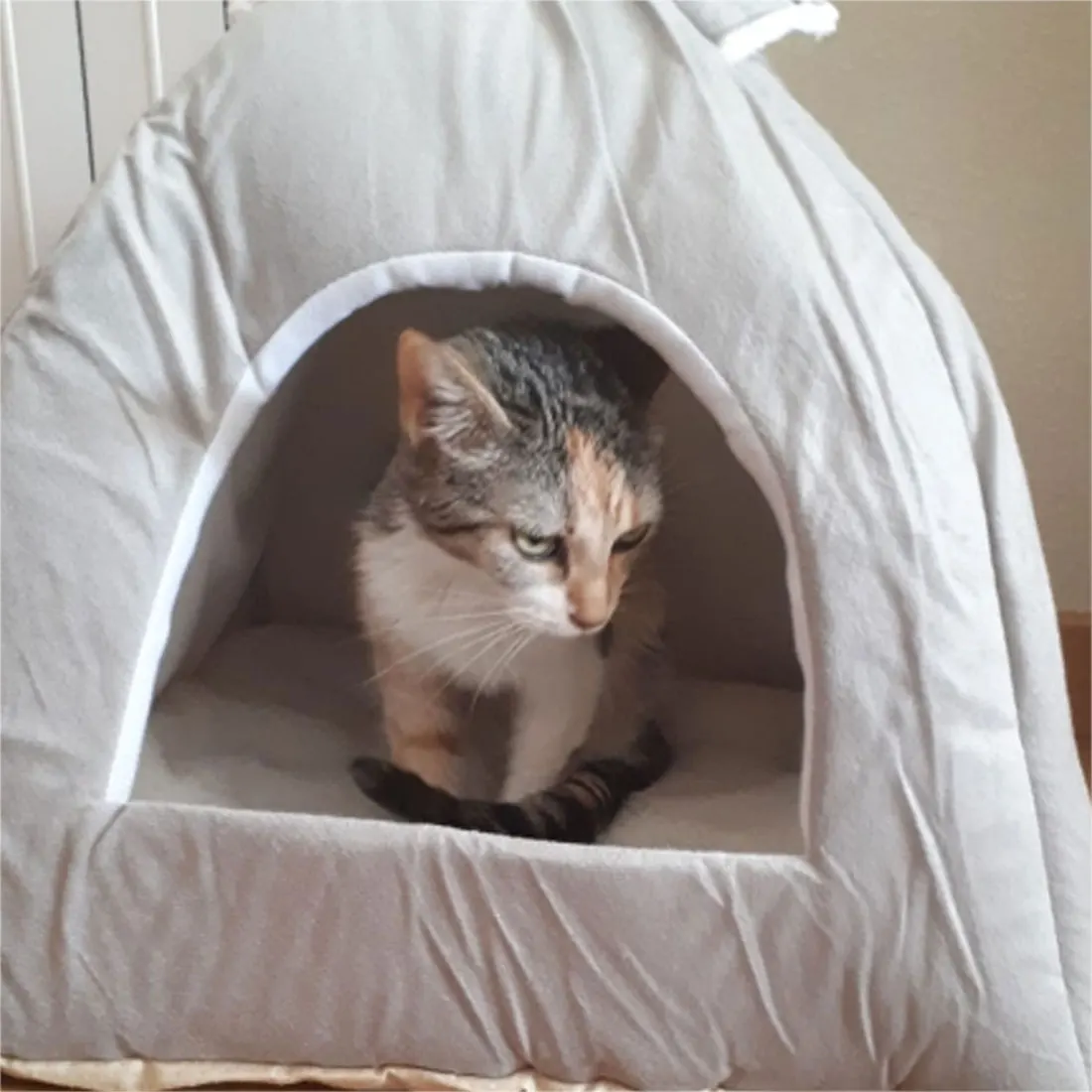 1 шт., коты, домашние кровати для маленьких кошек, теплые, всесезонные, хлопковые, теплые, милые, розовые, зеленые, однотонные, животные, уши, кот, мягкий дом