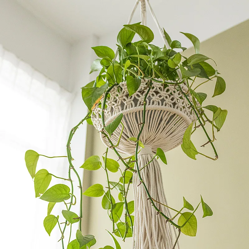 13565505513_1388659315