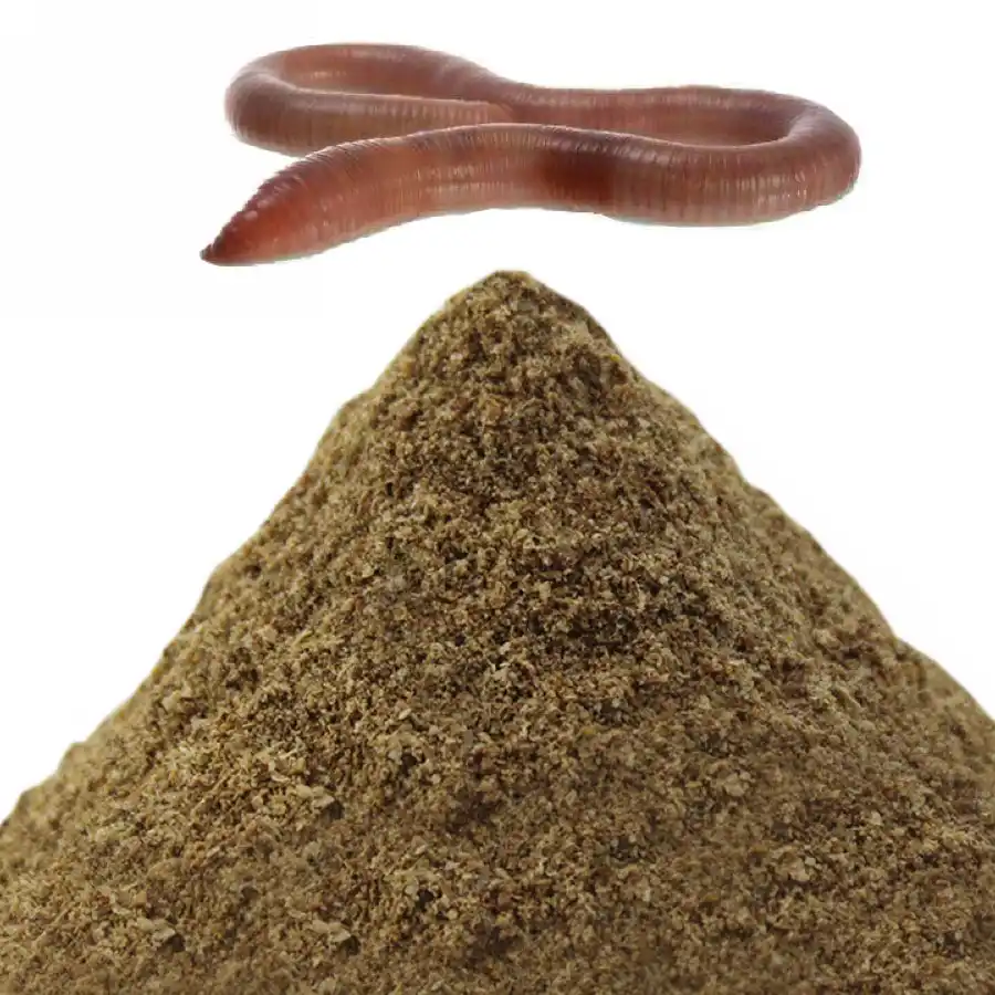 carp bait suppliers