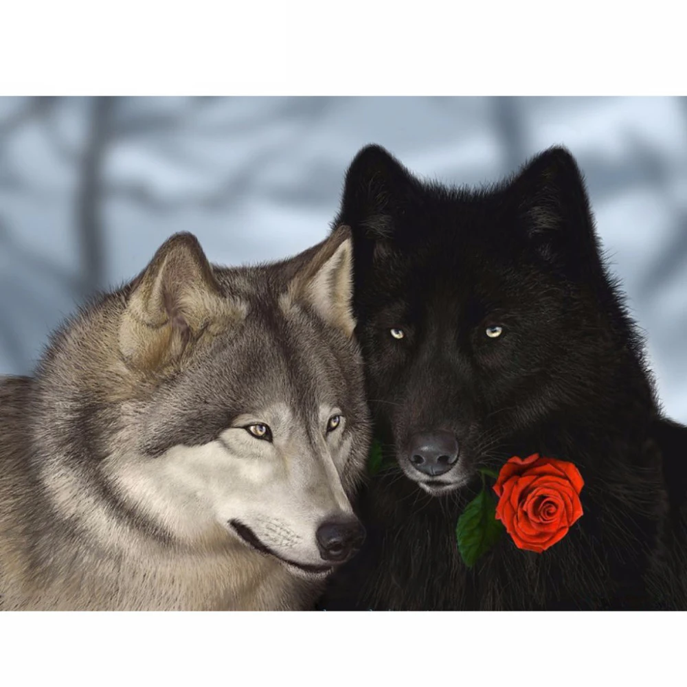 Meian-Diamond-Painting-Cross-Stitch-Kits-Animal-Full-Daimond-Embroidery-Rose-Wolf-5D-Diamont-Mosaic-Home