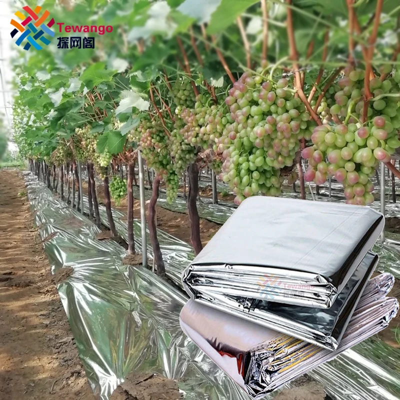 Outdoor Double Side Reflective Mylar Film Patch Greenhouse Agricultural