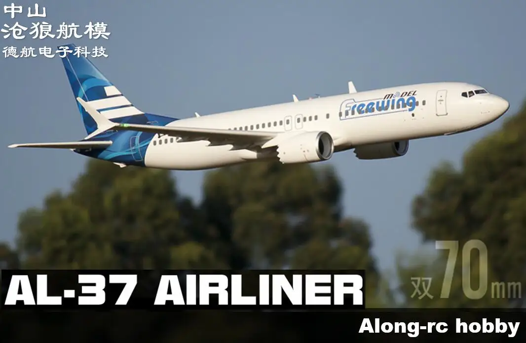 freewing airliner