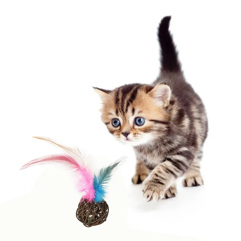 

Pet funny cat sounds bell rattan ball with chicken feathers 5 sets mixed color Pet Supplies 5 Pcs N1