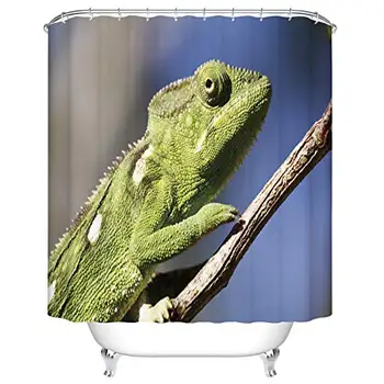 

Bath Curtain Set, Chameleon, Rare Madagascar Endemic Reptile, Shower Curtain Art Bathroom Decor, Fabric Bathroom Set with Hooks,