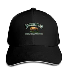 Мужская бейсбольная Кепка Zubrowka Vodka spirts на платформе Snapback, женская кепка с острым носком