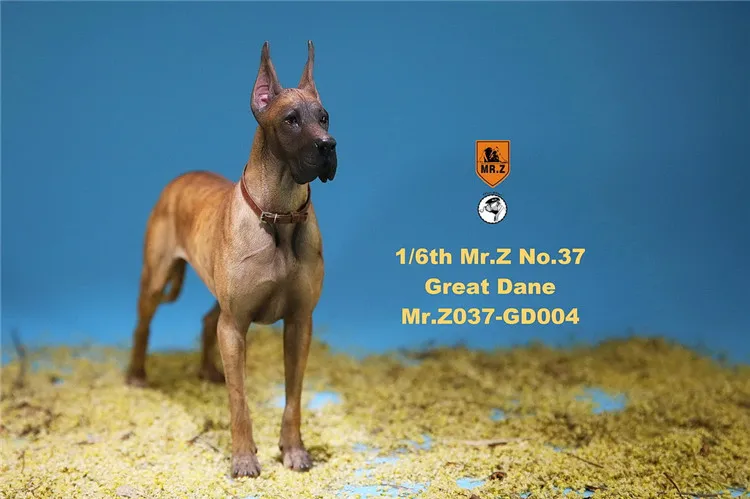 Коллекция 1/6, коллекционная фигурка, аксессуары для сцены, Mr. Z MRZ037, немецкая великая Датчанина, модель собаки, 6 цветов, 12 дюймов, фигурка