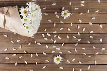 SHUOZHIKE Vinyl Custom Photography Backdrops Prop Wood Planks theme Photo Studio Background FG19607-912655