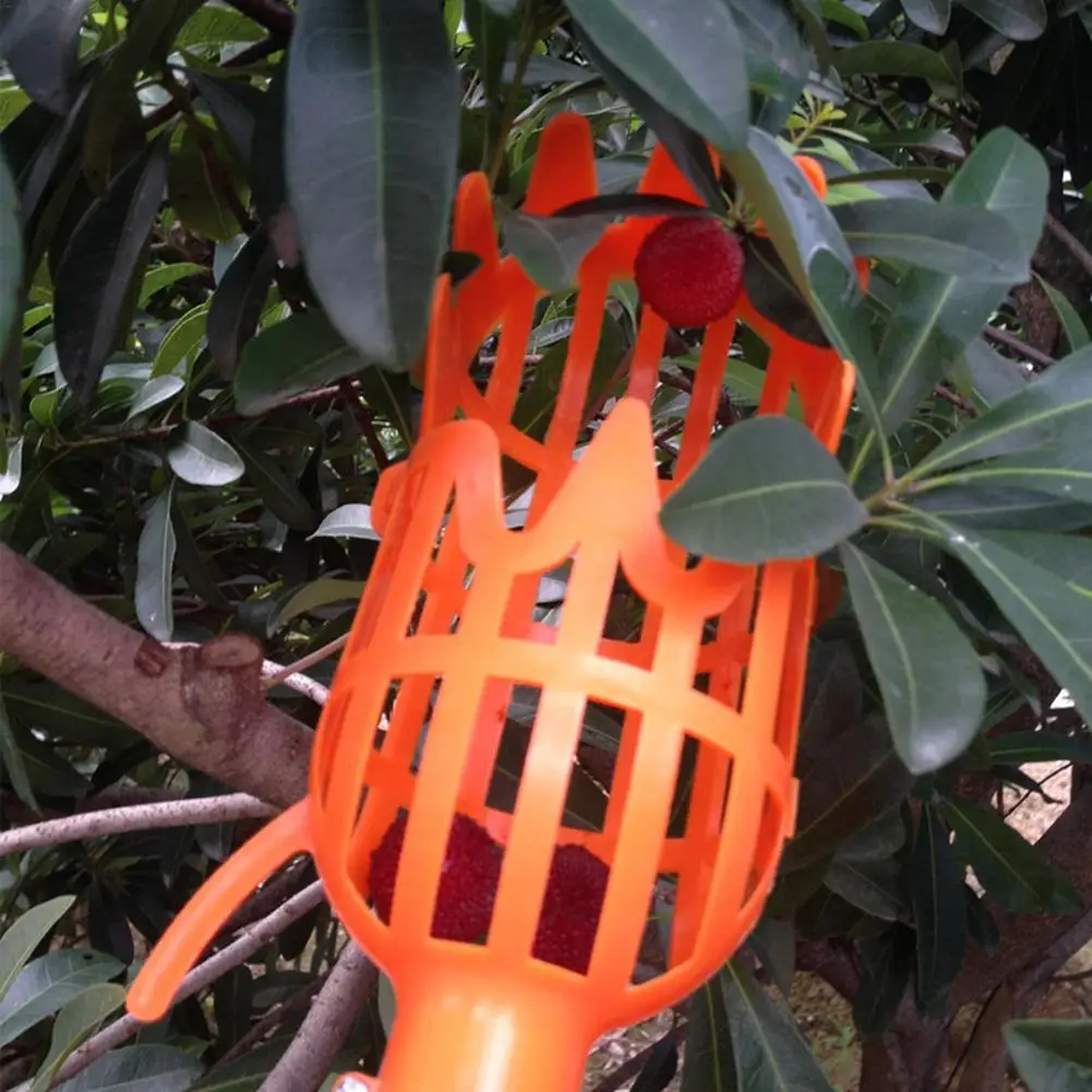 Fruit Picker Tool Fruit Grabber Picker Pole Basket Tree Telescoping Pole For Plum Orange Peach Mango Pomegra