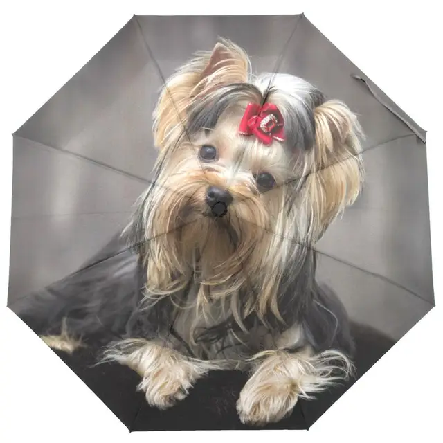 Yorkshire Terrier Kutya Nyomtatás Automatikus Esernyő Eső Nők Három Összecsukható Hordozható Férfi Szélálló Napvédő - Image 2