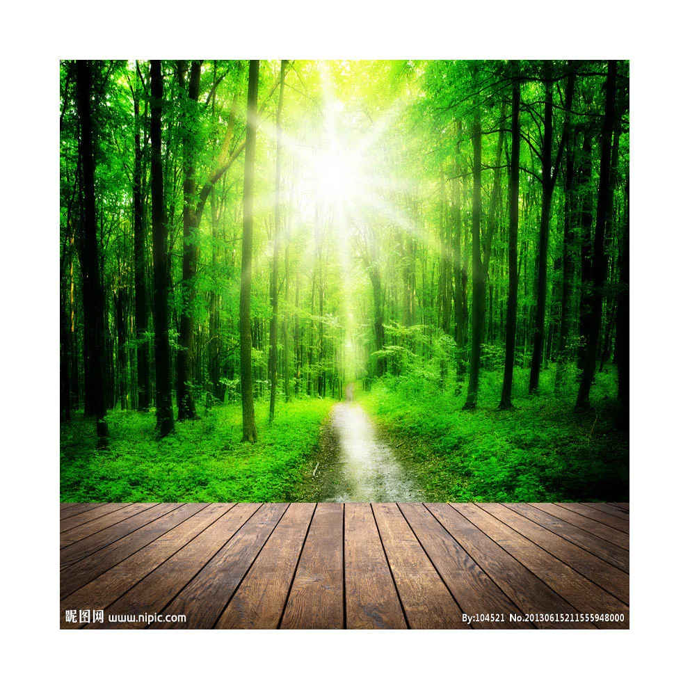 

Vinyl Custom Photography Backdrops Props Wood Planks Theme Photo Studio Background 200526DX-02