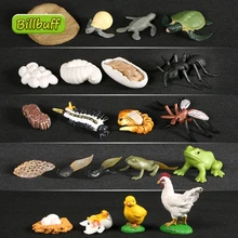 4 pçs/lote Animais Modelo de Ciclo de Vida Ciclo de Crescimento conjunto Sapo Ant Mosquito Sea Turtle Modelo de simulação de Ação Figuras de Brinquedo para crianças