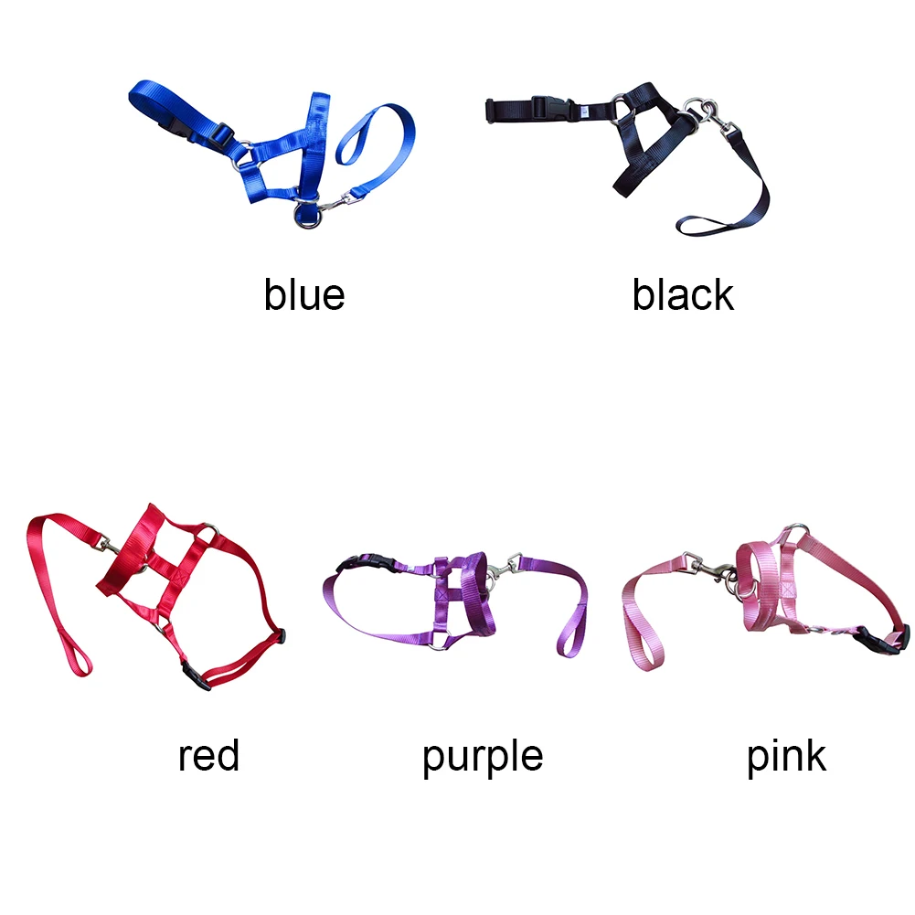 Nylon Dogs Head Collar Dog Training Halter Blue Red Black Colors S M L XL XXL Sizes
