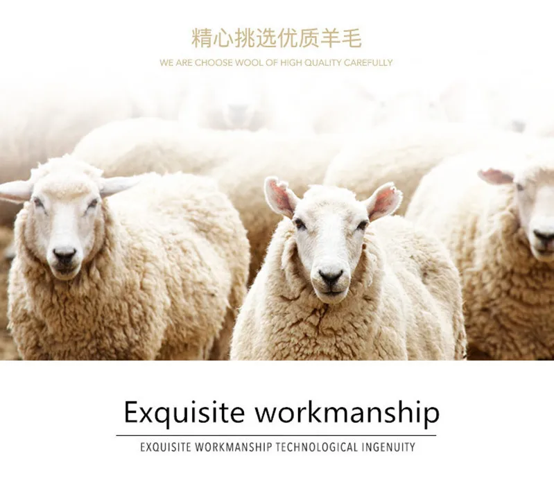 TB2fASDGpOWBuNjy0FiXXXFxVXa_!!3700964007_副本