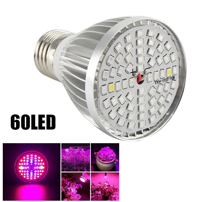 28627 (6) - 60LED
