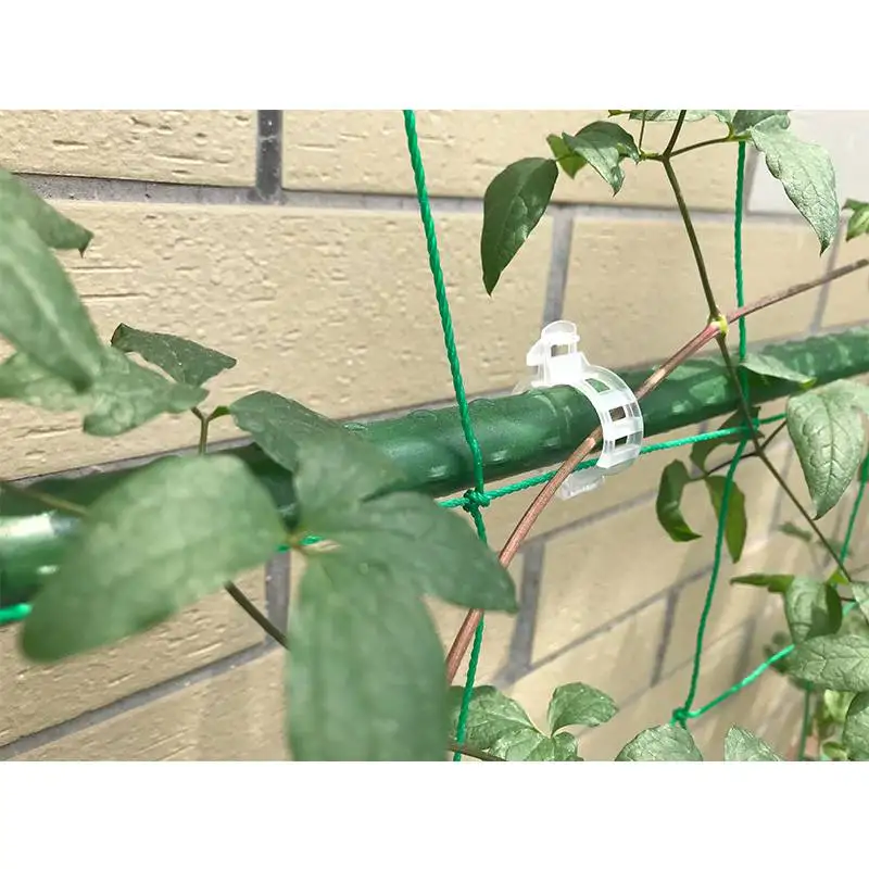 1000PCS Reusable Plastic Trellis Tomato Clips Supports Connects Plants Vines Trellis Twine Cages Veggie Garden Plant Clip