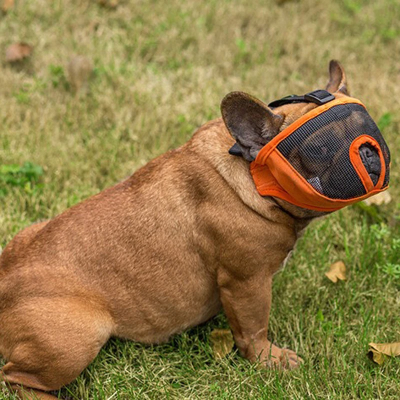 HTB10GSLFMaTBuNjSszfq6xgfpXax