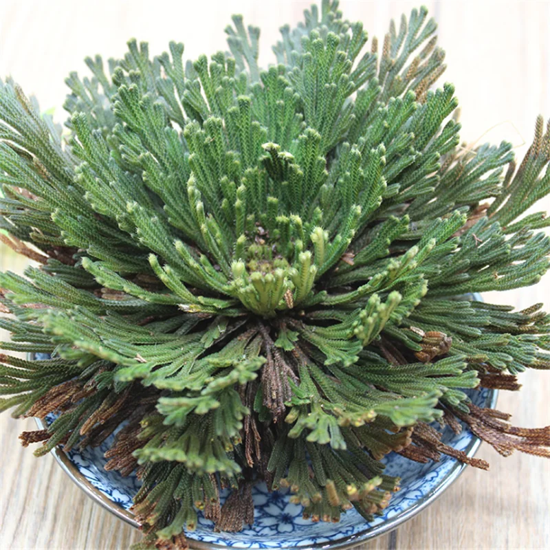 QQ截图20200508205214