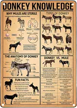 

Donkey Knowledge Retro Metal Sign Education Knowledge Posters Infographics School Club Bar Tin Sign 12x17 Inches