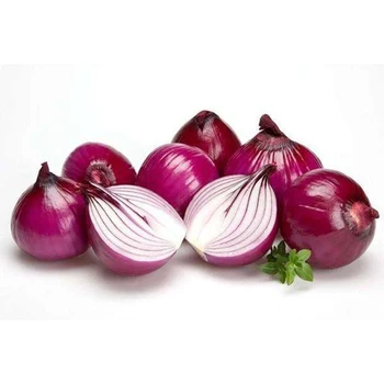

100pcs Onion Seeds Red Vegetables Bonsai Plants DIY Garden Home Nursery