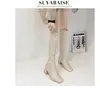 2022 New Winter Style with Fleece Medium Chunky Heel Knight Boots Women's High Tube Thinner-looked High Heel Shorty Long Boots ► Photo 2/6