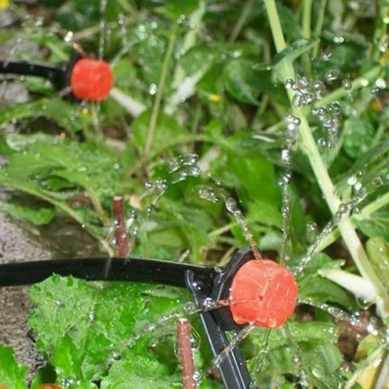 Drip Irrigation (11)