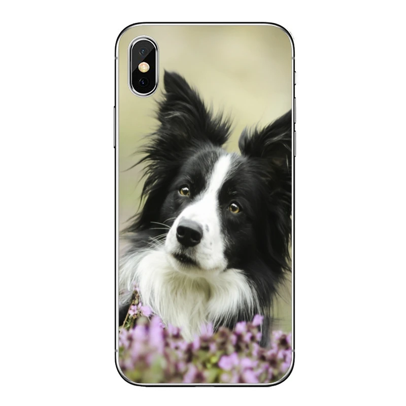 Border Collie милая собака для huawei mate 20 10 9 P30 P20 P10 P9 pro Lite P Smart plus аксессуары чехол для телефона